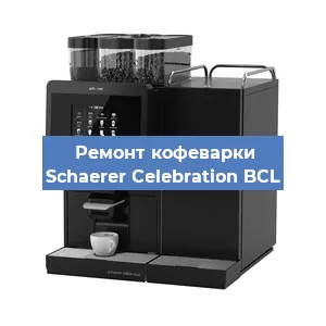 Замена прокладок на кофемашине Schaerer Celebration BCL в Ростове-на-Дону